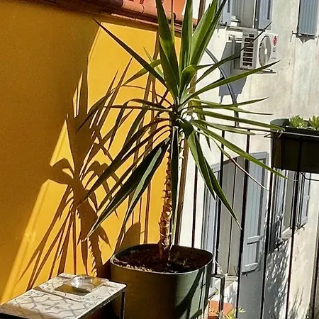 דירה Rubra